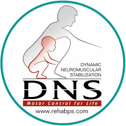 DNS — Dynamická neuromuskulární stabilizace